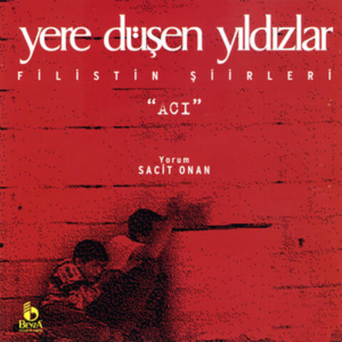 Yere Düşen Yıldızlar