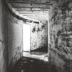 Forlorn I