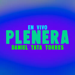 Plenerea