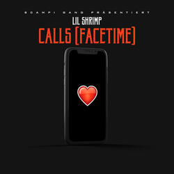 Calls (FaceTime)