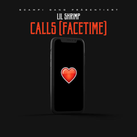 Calls (FaceTime)