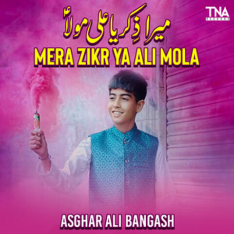 Mera Zikr Ya Ali Mola - Single