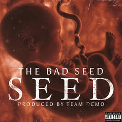 Seed