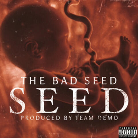 Seed