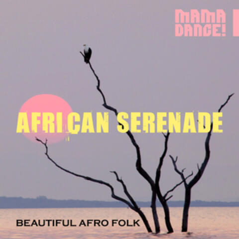 African Serenade - Beautiful Afro Folk