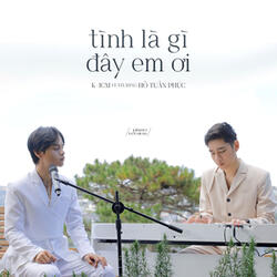 Tình Là Gì Đây Em Ơi