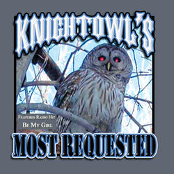 Here Comes Knightowl