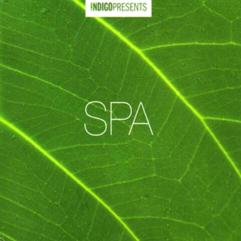 Spa-Music to Relax By