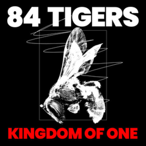 Kingdom of One