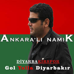 Diyarbakırspor / Gol Yolla Diyarbakır