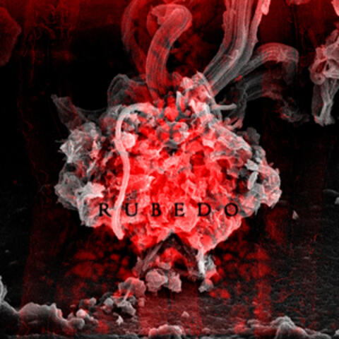 Rubedo
