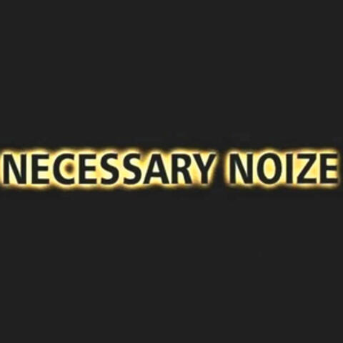 Necessary Noize
