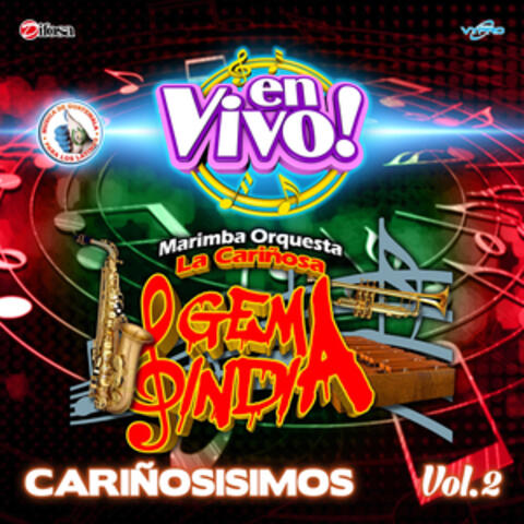Cariñosisimos, Vol. 2. Música de Guatemala para los Latinos
