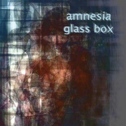 Amnesia / Glass Box