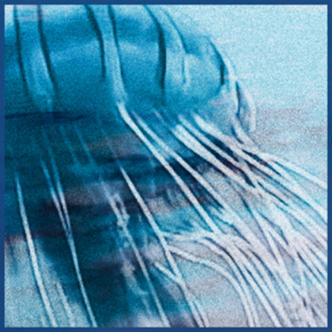 Slip