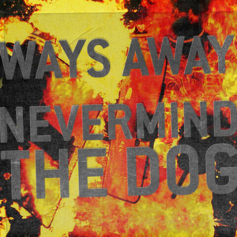 Nevermind the Dog