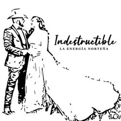 Indestructible