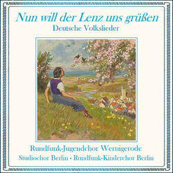 Ein Vogel wollte Hochzeit machen