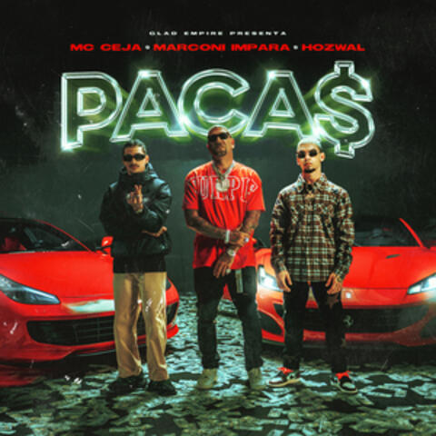 Pacas