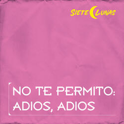 No Te Permito: Adios, Adios