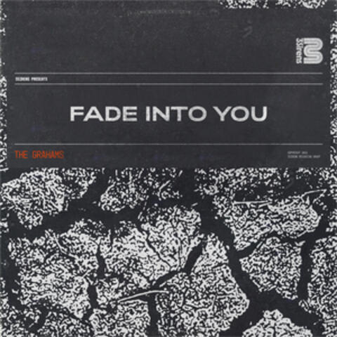 Fade into You