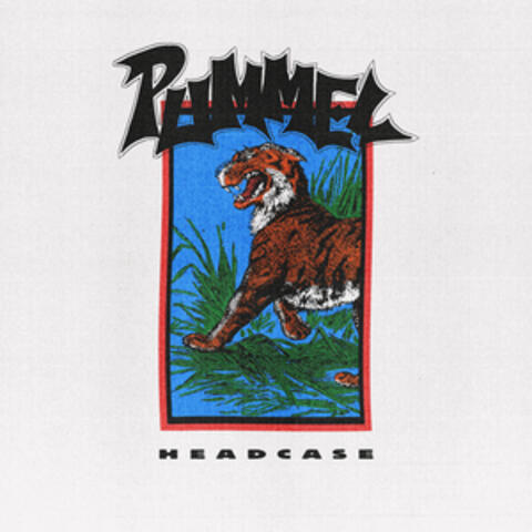 Pummel