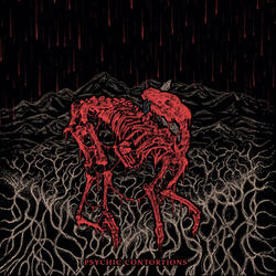 Enveloped and Transformed