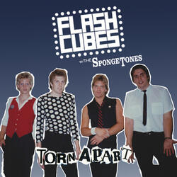Have You Ever Been Torn Apart?