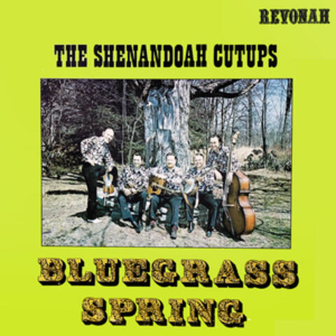 The Shenandoah Cutups