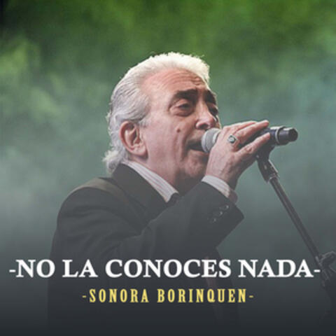 No la Conoces Nada