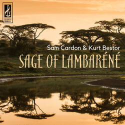 Sage of Lambaréné
