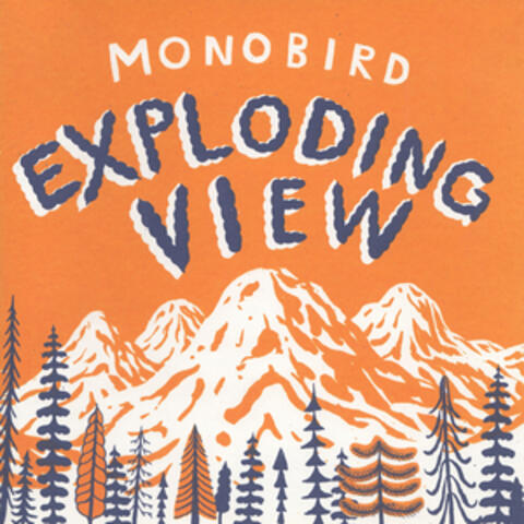 Exploding View