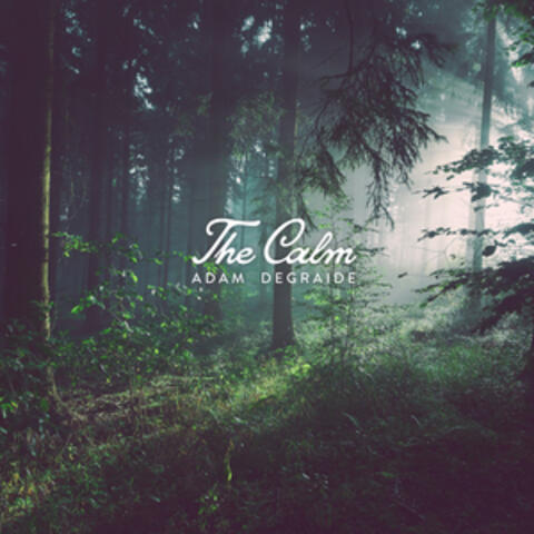 The Calm