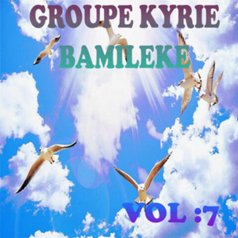 Vol. 7