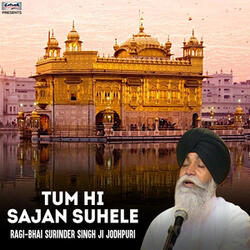 Tum Hi Sajan Suhele
