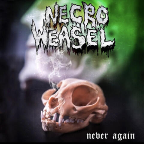 Never Again