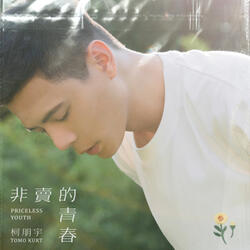 Priceless Youth (Instrumental Version)