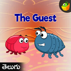 The Guest