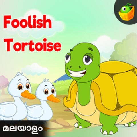Foolish Tortoise