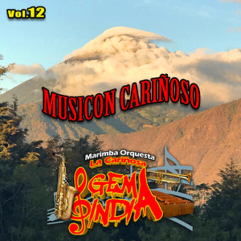 Musicon Cariñoso, Vol. 12