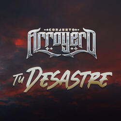 Tu Desastre