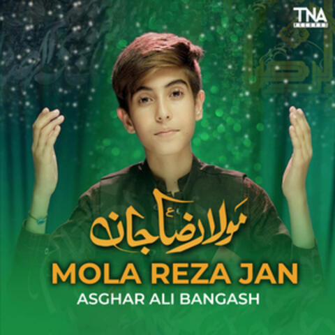 Mola Reza Jan - Single