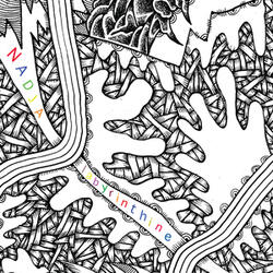 Labyrinthine