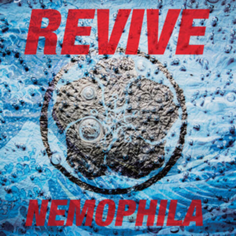 REVIVE