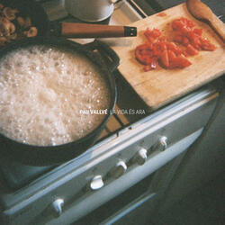 Com troncs baixant pel riu