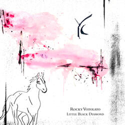 Little Black Diamond
