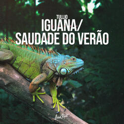 Saudade Do Verão