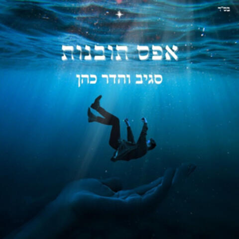 אפס תובנות