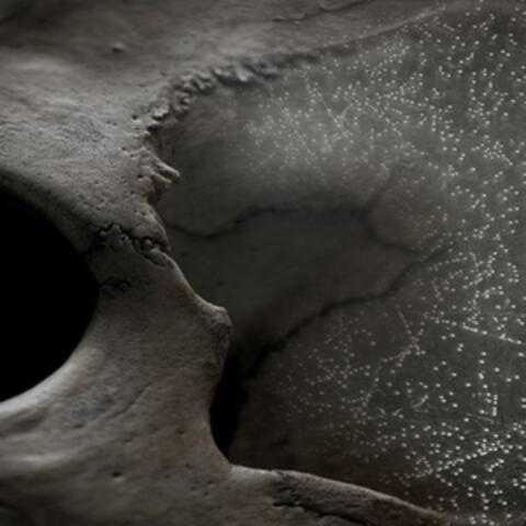 New Maps Of Hell