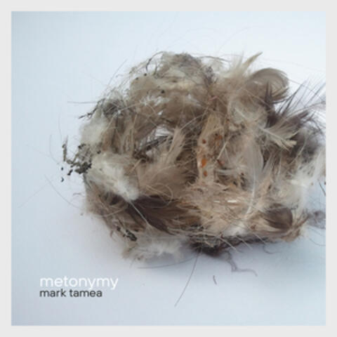 Metonymy